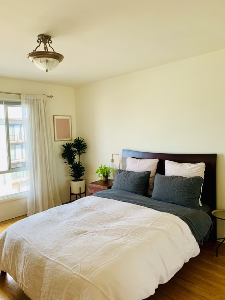 Bedroom with large window and plant in corner