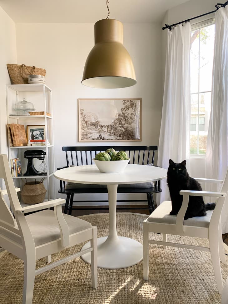 Cat sitting on chair at dining area with gold metal pendant light above