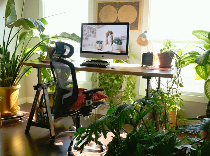 Plant-filled home office