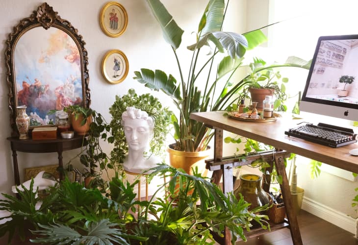 Plant-filled home office