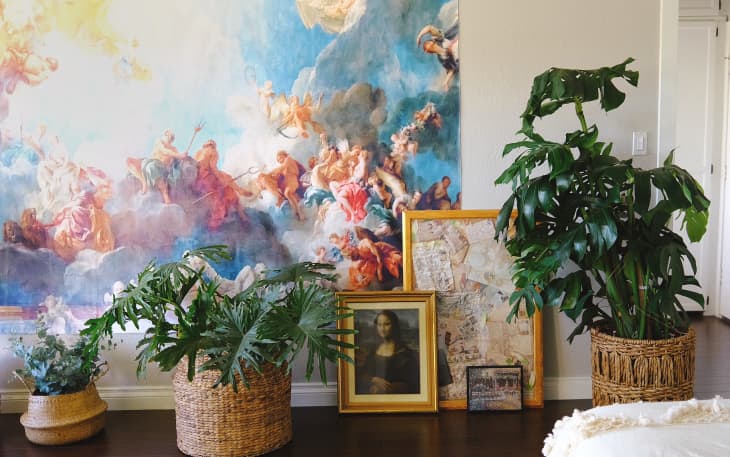 Prints of famous paintings next to plants