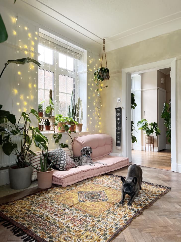 Pink cushions, pets, and boho rug next to window with string lights hanging in front