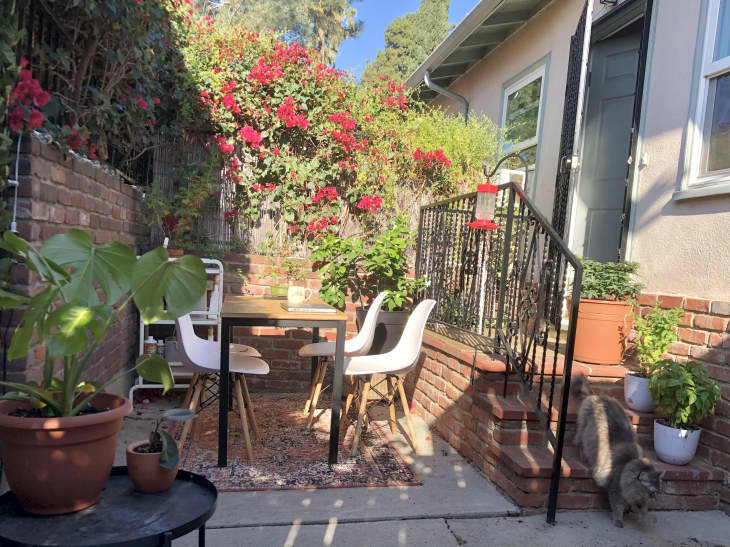 Patio with brick steps and dining table next to rose bush