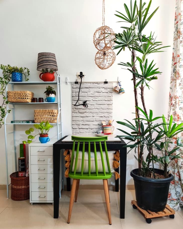 Tall potted tree next to desk with green chair