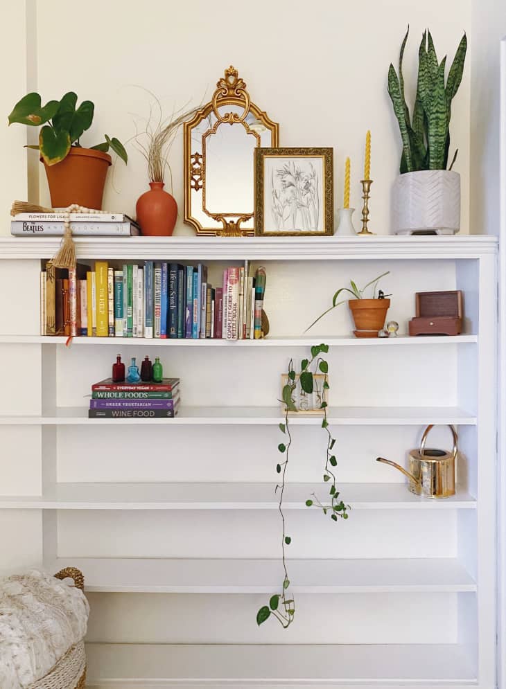 White built-in bookshelf with plants and books