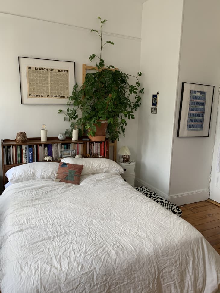 Bedroom with white bedspread, large plant, and books at headboard