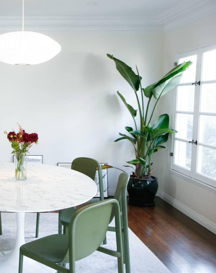 Dining room with round tulip table, green dining chairs, and plant in corner
