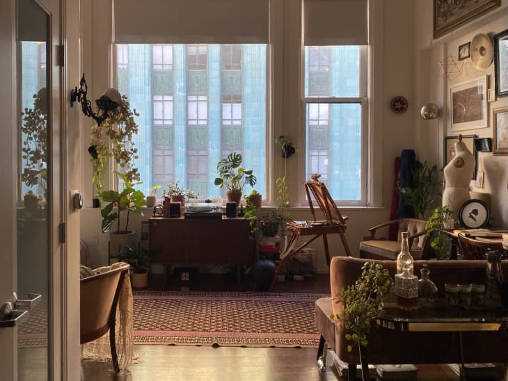 Plant-filled living room with large windows