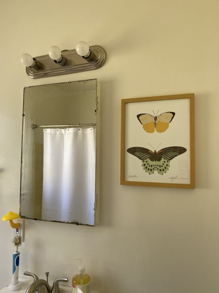 浴室镜子旁边的蝴蝶艺术品