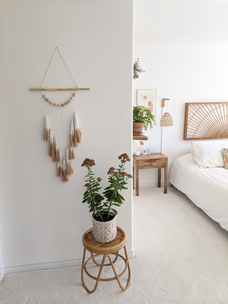 Plant and wall hanging in entryway of bedroom