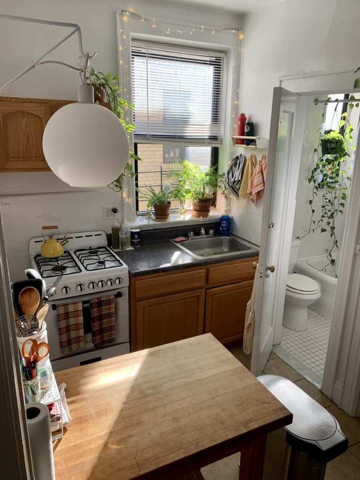 kitchen with table and plants