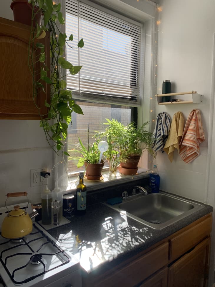 kitchen with plants and colorful towels