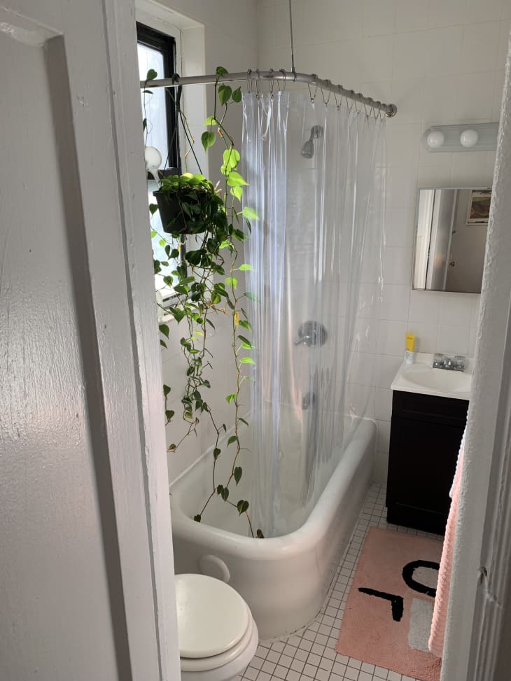 white bathroom with hanging plant