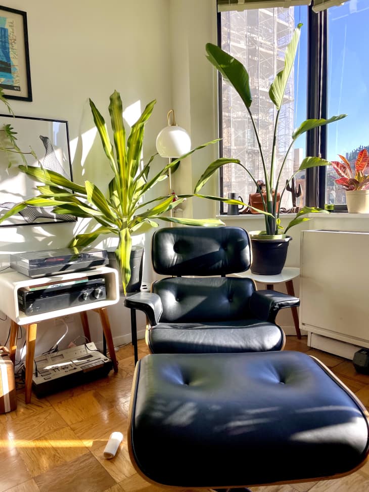 Black leather chair next to plants and record player