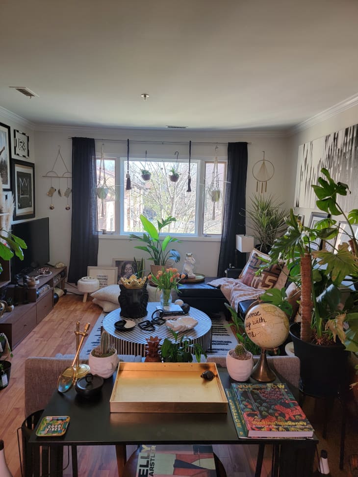 Living room with couch and plants