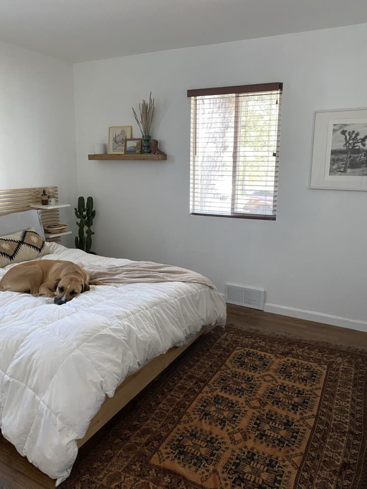 bedroom with white duvet and orange rug
