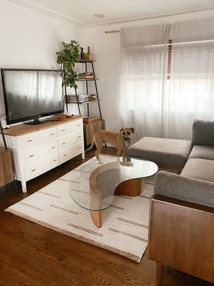 Modern living room with white tv stand and rug
