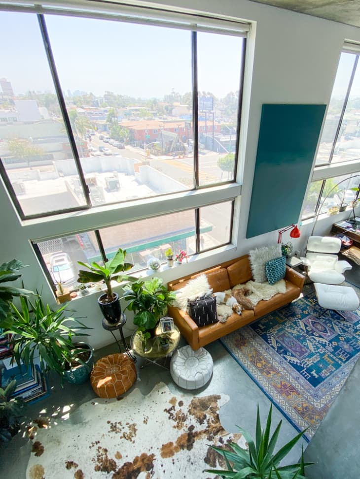 Top view of large windows and living room with leather couch and blue rug