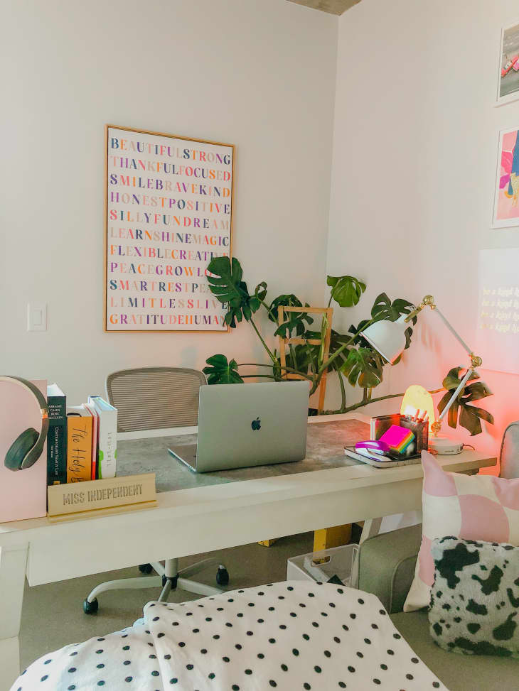 Office space with white walls and plants