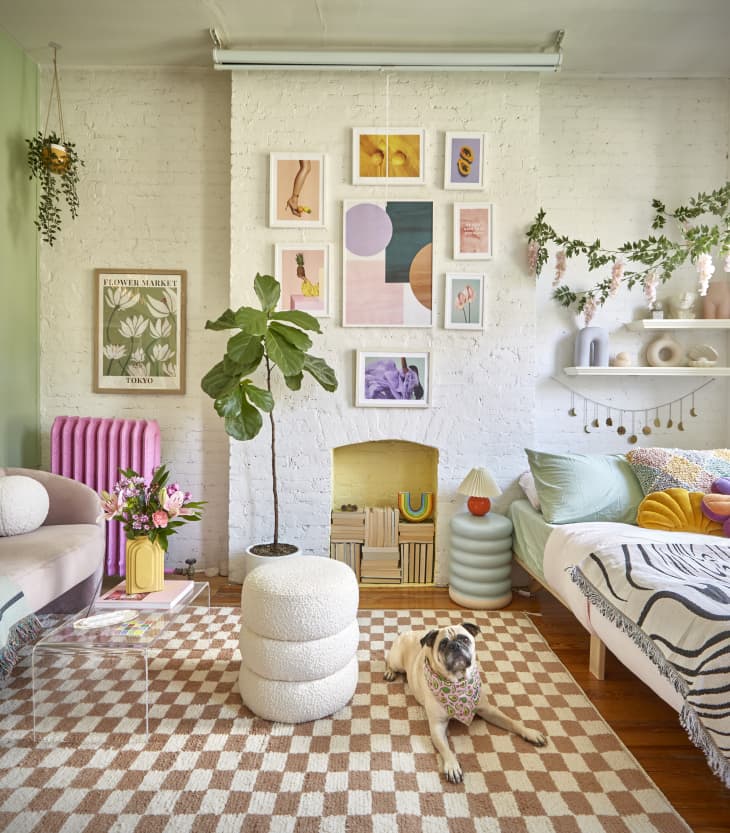 Colorful living room with a pug on a checkered rug, framed art, plants, and cozy seating.