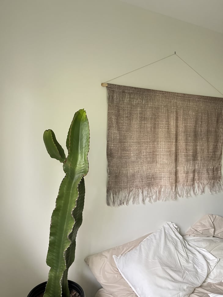 Cactus next to a bed