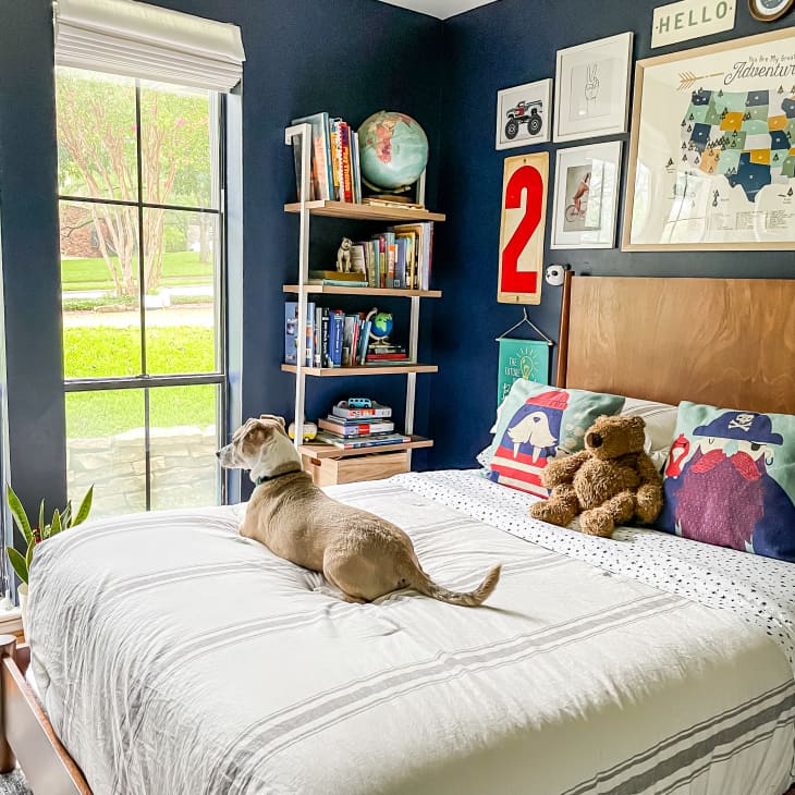Blue bedroom with dog on bed