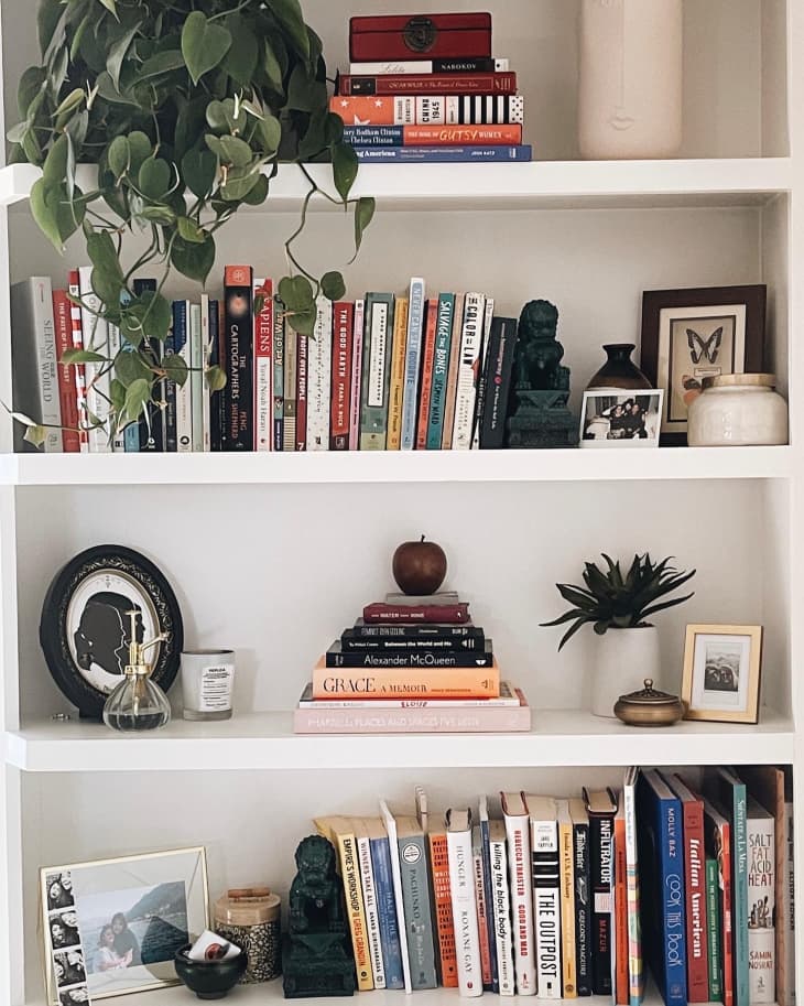 A tall white bookshelf filled with books and plants