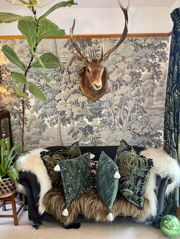 一只鹿头被固定在蓝色和白色墙纸的墙上，周围是一个摆满枕头的绿色沙发