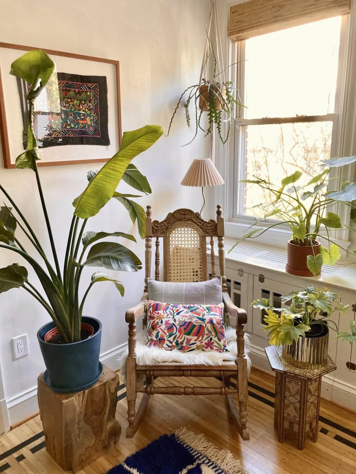 A reading nook with a wooden rocking chair between the plants