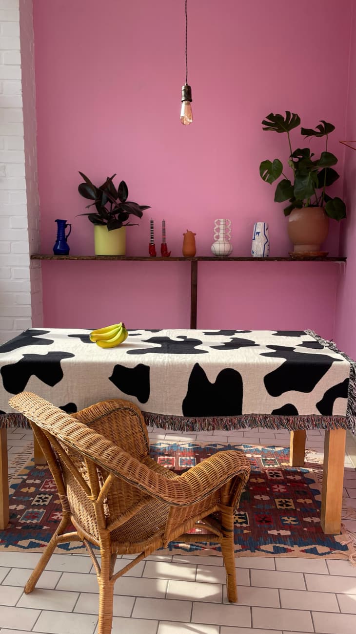 A pink wall and a table with a cow print table cloth