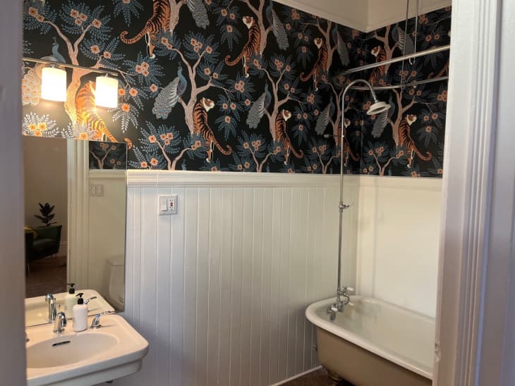 a bathroom with jungle wallpaper