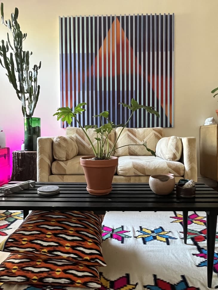 Living room with tan vintage patterned sofa, star pattern flatweave rug, slatted black coffee table, graphic painting on wall with 3d aspect, large cactus/euphorbia plant
