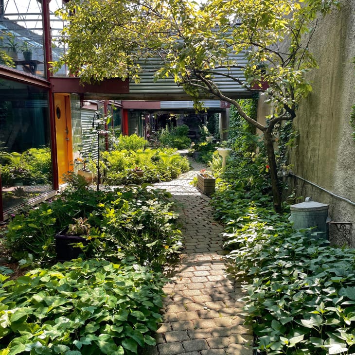 outdoor space with a stone path, wood and stone features, trees, ivy
