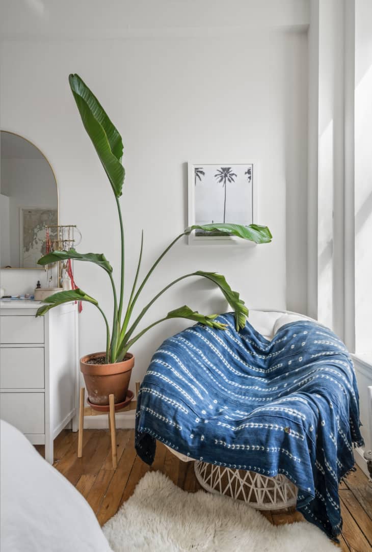 Corner of bedroom with white walls, white cushioned armchair with blue and white shibori throw, large potted plant. White dresser with arched mirror