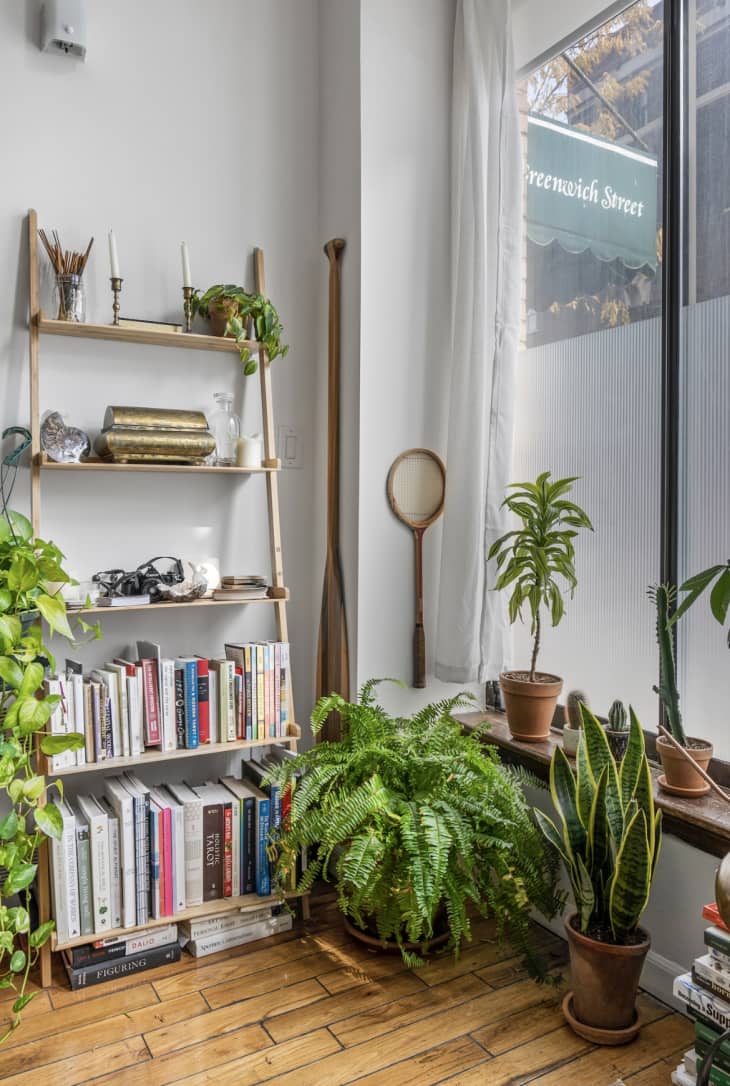 Corner of apartment living room. White walls, large window with white curtain. Wood floors, lots of plants, small wood bookshelves with books and other objects