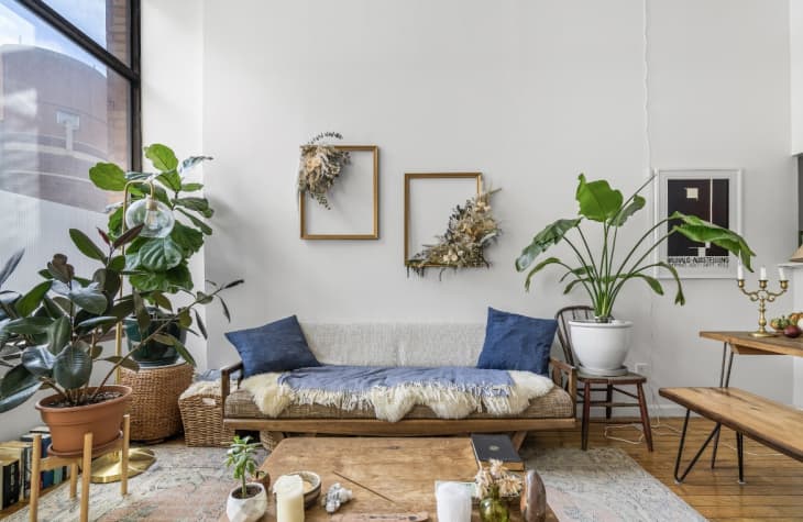 apartment living room with white walls, lots of light, wood frame brown sofa with blue and gray accents, lots of plants, frames over the sofa filled with dried flowers