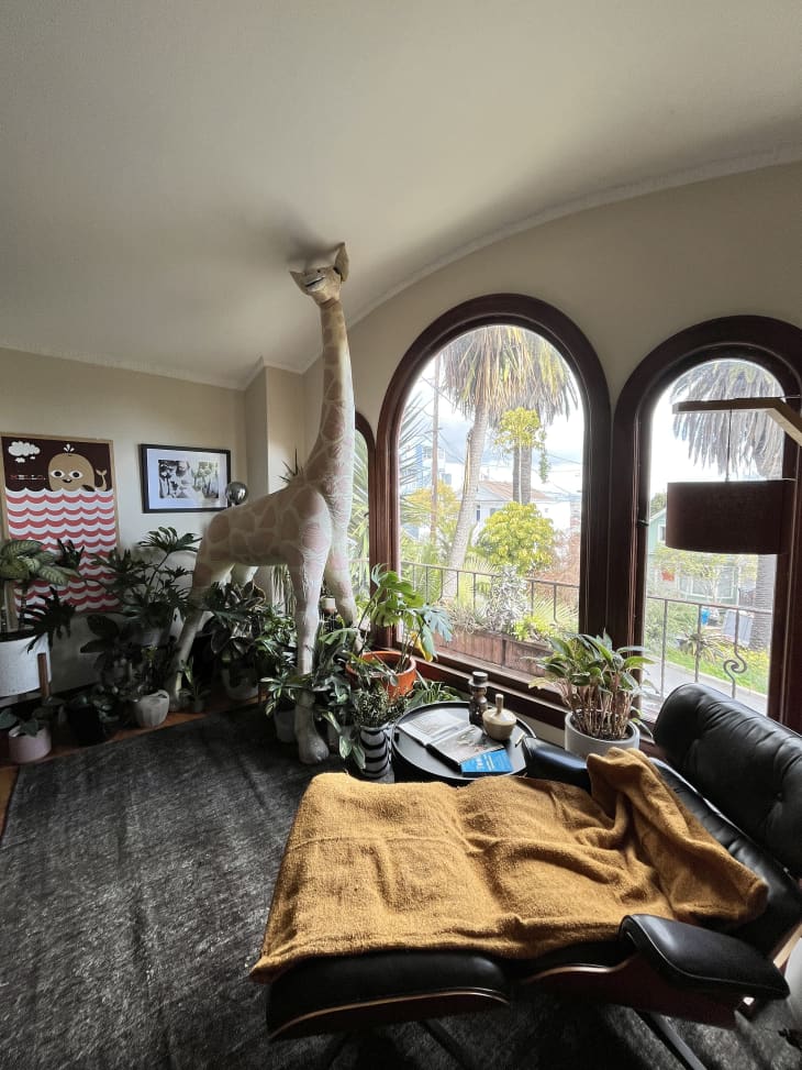 Living room with lots of plants, a giraffe statue with its head touching the ceiling, large arched windows, black leather reclining loveseat