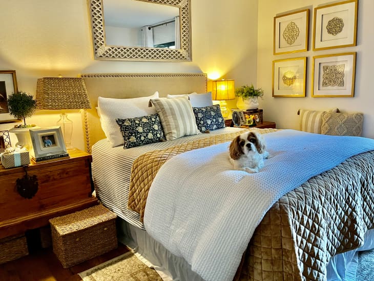 Eclectic bedroom with King Charles Cavalier sitting on bed.