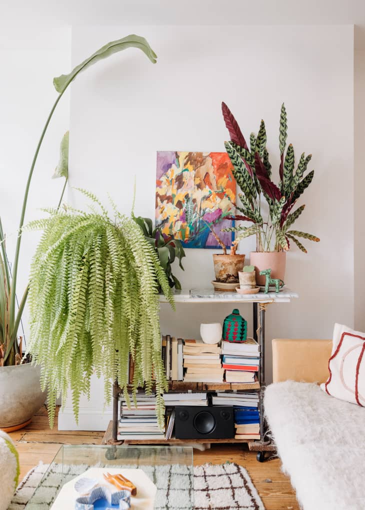 Philadelphia residence with white walls, lots of wood details: living room detail of plants, small shelves by sofa