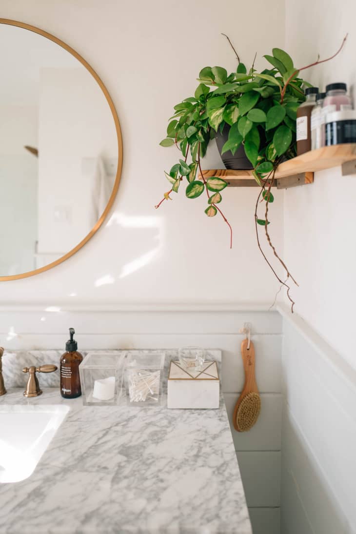 Grey marbled countertop in bathroom with open wooden shelves lined with plants and bathroom products.