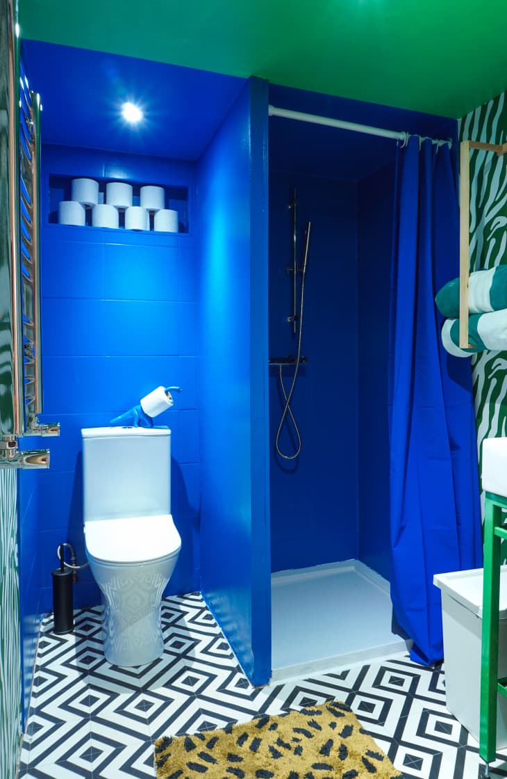 Blue bathroom with green ceiling, green and white mural wall, black and white floor