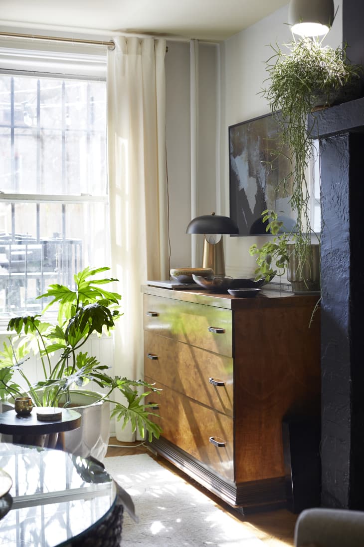Corner of room with window, wood dresser, plants