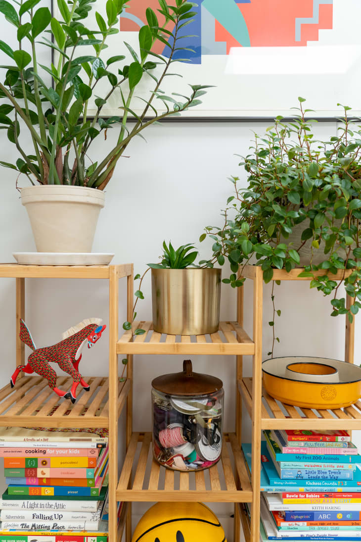 Wooden shelves with books and plants.