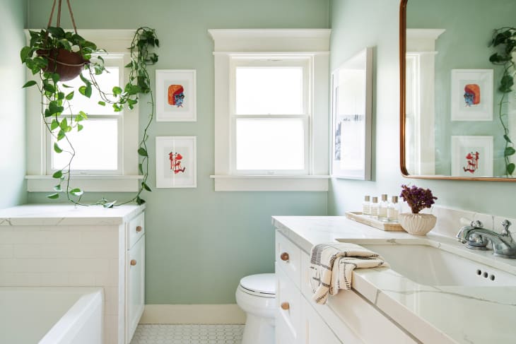 bathroom with pale mint walls, large framed mirror, hanging plant, sink with products on counter, white trim around window, hanging plants