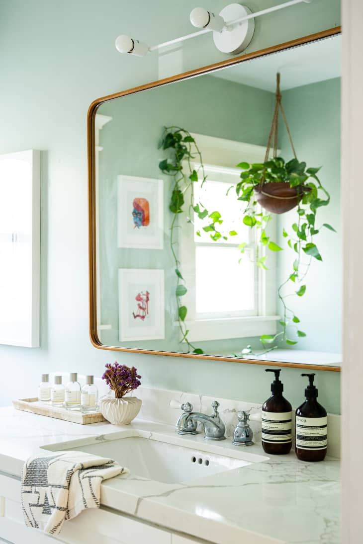 bathroom with pale mint walls, large framed mirror, hanging plant, sink with products on counter