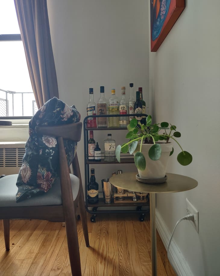 Potted house plant on table in studio apartment.