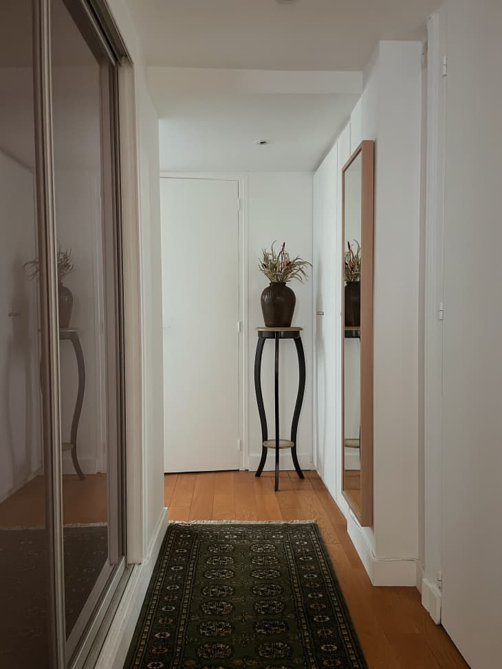 view of white hallway, wood floors, black and white runner, plant on planter stand by door