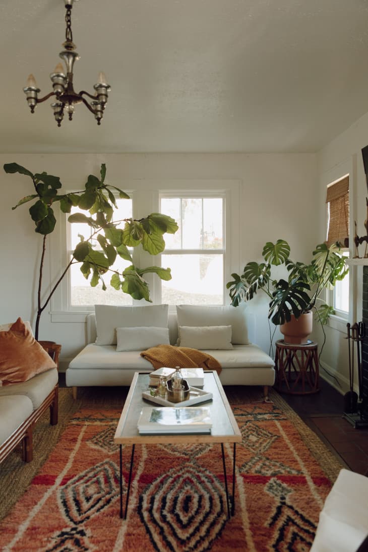 A living room with a white sofa, tall green plants, and a bohemian style rug