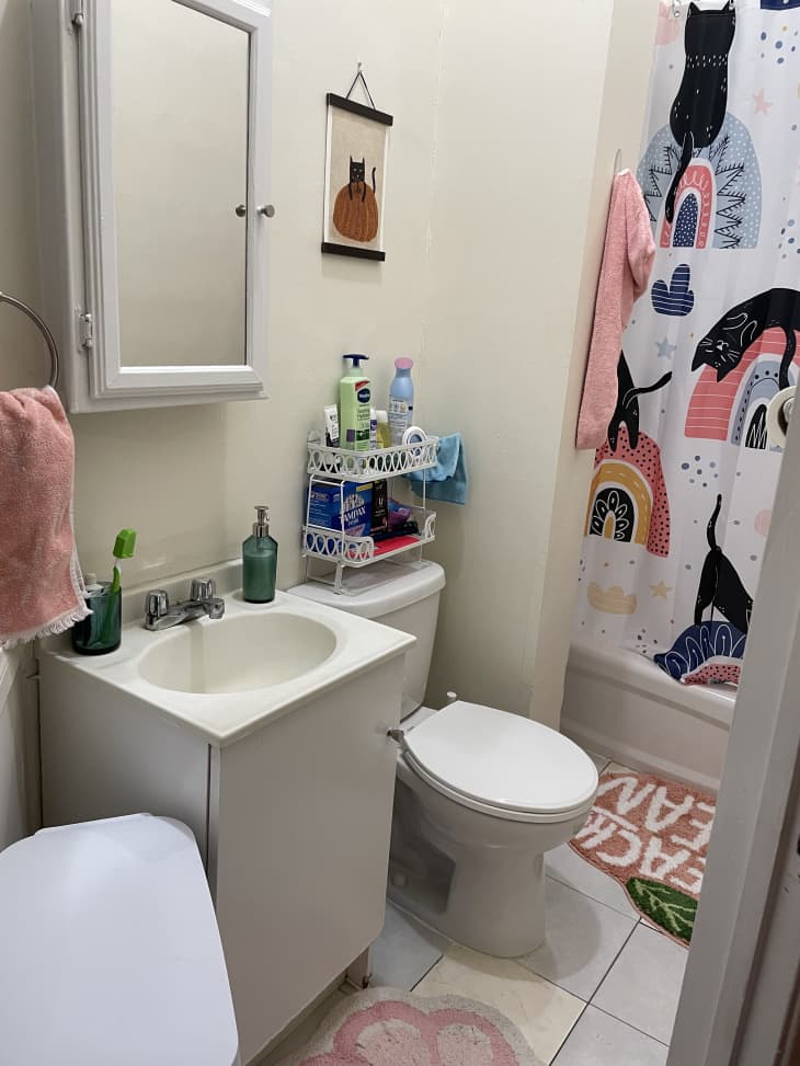 A white bathroom with a cat shower curtain