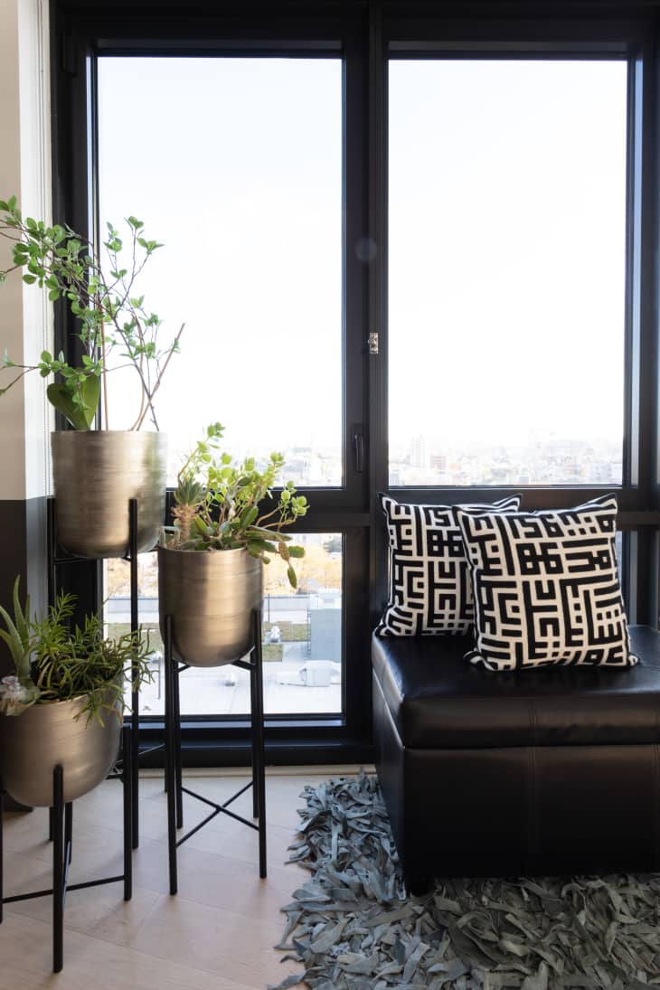 Detail of new york apartment. Black leather ottoman with black and white throw pillows, raised gold planters, large windows